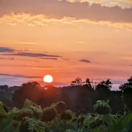 Paulange * Laprade (Poitou-Charentes)